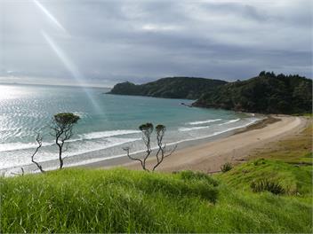 Seaviews, Cedar hot tub, Kayaking, Native Virgin bush - WHANGAREI