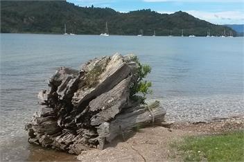 Wind down on White - 3 bedroom -big back yard (homeaway) - Whitianga