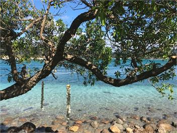 Bays edge - Tairua