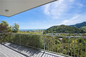 Hilltop Getaway - Views and Spa Pool - Nelson