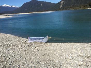 Neil's Beach Bach - Neils Beach, Jackson Bay