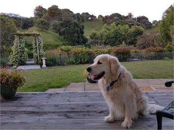 Lakeside Cottage - Napier 4182