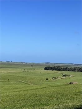 Okahu Vineyard Stay - Northland