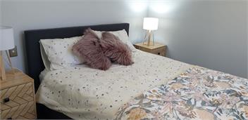 Hosts on the Coast Kupe Cutie - Whitianga