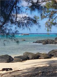 Muri Sunrise Retreat - Rarotonga