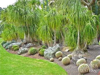 TOTARA WATERS - Auckland