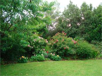 Underhill Cottage - Featherston