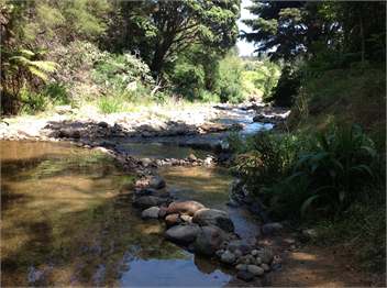 Waiomu Escape: Kings Birthday special - Thames