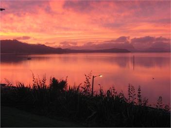 Harbour Lane - Whangarei