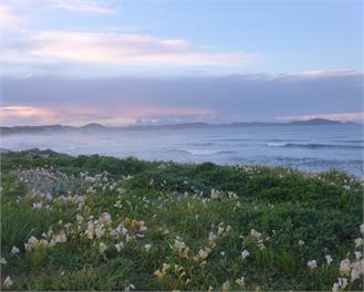 Seaviews, Cedar hot tub, Kayaking, Native Virgin bush - WHANGAREI