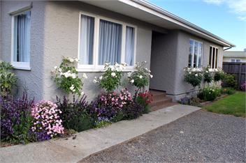 Palm Tree House - Motueka