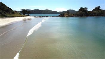 Oakura Beachfront, wifi & kayaks - Oakura Bay