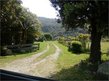 Bowen's Bush - Mahia