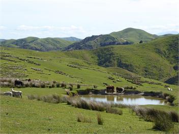 Otapawa Farmstay Backpackers Lodge - Eketahuna