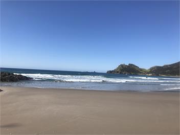 Medland's Beach Hideaway - Auckland