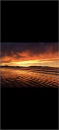 Abalone Beach House -