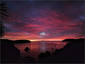 The House on Kamahi - Stewart Island