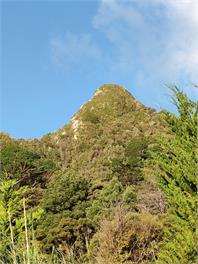 Tokatoka Peak - Base Camp - Dargaville - Dargaille