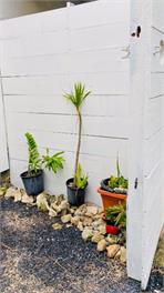 ShineAwayHomes-Family Beachfront- A/C with Free Wifi - Rarotonga