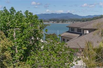 Hosts on the Coast Views from Haddon - Whitianga