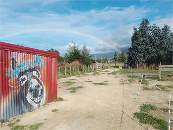 Cosy Cabin - Featherston