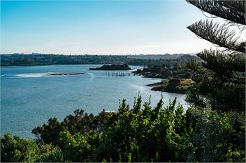 Black Marlin Bach - Kerikeri