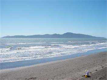 Hibiscus Cottage - Paraparaumu