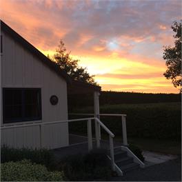 Dara Cottage Martinborough - Martinborough