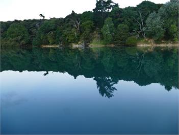 Seaviews, Cedar hot tub, Kayaking, Native Virgin bush - WHANGAREI