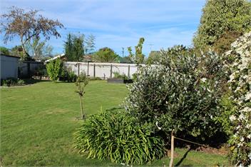 Palm Tree House - Motueka