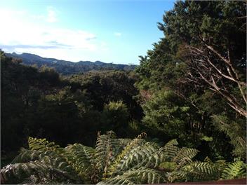 Waiotoi - The Bush Hideaway - Ngunguru
