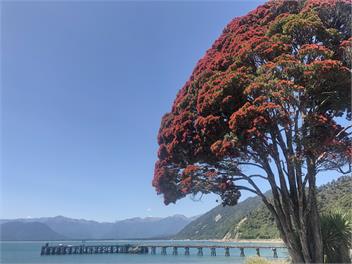 Neil's Beach Bach - Neils Beach, Jackson Bay