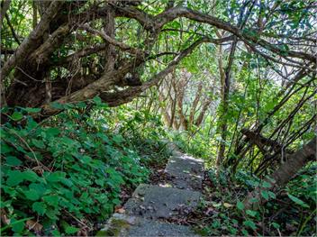 Langs Hideaway (Bachcare) - Langs Beach