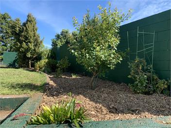 Super-sized family home, peaceful environment with stunning mountain views - New Plymouth