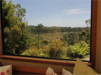 Immerse yourself in the West Coast native flora and fauna - swimming, sunsets and tranquility - Westport