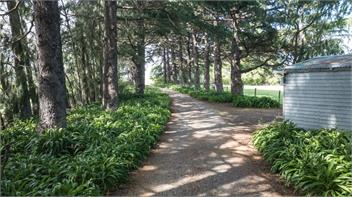 Springfields Homestead (Bachcare) - Blenheim