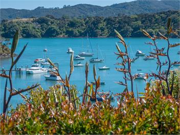 Number 8 - Mangonui