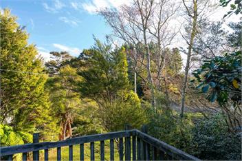 Singlee (Bachcare) - Turangi