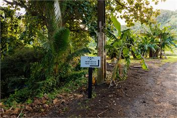 Muri Ocean View Villas - Te Kirava - Muri
