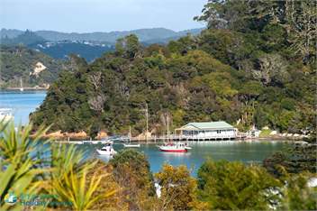 Black Bach  - Bay of Islands