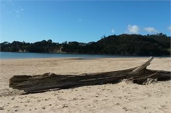 Wind down on White - 3 bedroom -big back yard (homeaway) - Whitianga