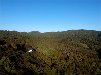 Waiotoi - The Bush Hideaway - Ngunguru