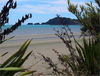Pohara Beach Retreat ~ Short or Long Term - Golden Bay