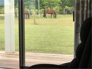 Kepler Oaks Takitimu Chalet - TE ANAU