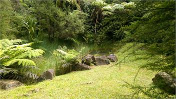 Treetop Oasis (Bachcare) - Tairua