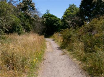Bellbird Cottage (Bachcare) - Waitahanui