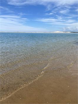Unwind on Spinifex - Mangawhai 0505