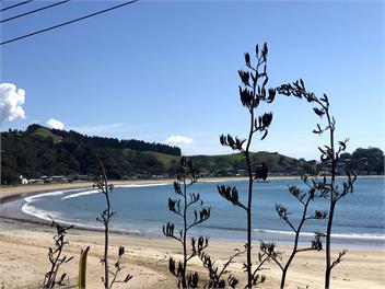 Oakura Bay Absolute-Beachfront Holiday Home - Northland