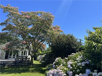 Villa Maria - Havelock North