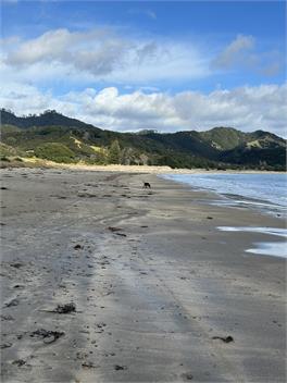 Stollies Loft - Opotiki